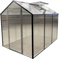 KASVUHOONE LEVI 2X3M 8MM