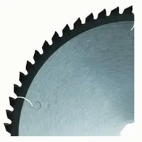 SAEKETAS PUIDULE SCHEPPACH HS520, Ø500X30X4,0MM/Z44