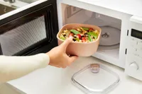SÄILITUSKARP ROTHO ELA 0,425L VANA ROOSA