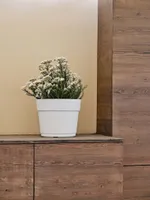 LILLEPOTT BLOOM VALGE Ø19CM