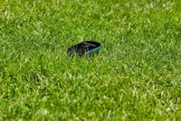 KASTMISKONTROLLISÜSTEEM GARDENA + SMART ANDUR
