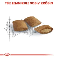 KUIVTOIT ROYAL CANIN AGEING 12+ KASSIDELE 4KG