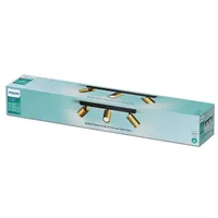 VANNITOAVALGUSTI PHILIPS IDRIS 3X5W HV IP44 MESSING