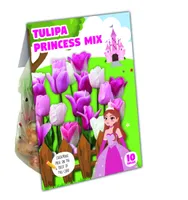 TULP KAPITEYN PRINTSESSI VALIK 10TK