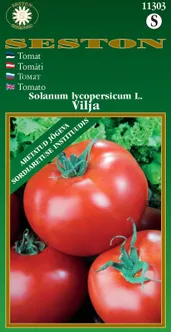 SEEMNED SESTON SEEMNED TOMAT 'VILJA'