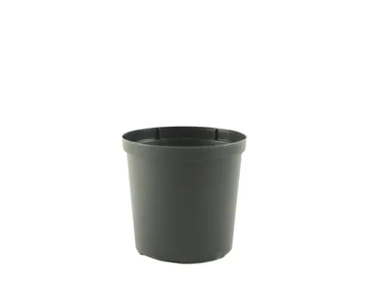 ISTUTUSPOTT CULTIVATE 120MM MUST