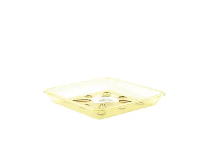 ORHIDEEPOTI ALUS NAICA 14X14X2CM LÄBIPAISTEV