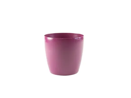 LILLEPOTIÜMBRIS BRUSSELS LÄIKIV 14CM KIRSS