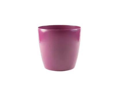 LILLEPOTIÜMBRIS BRUSSELS LÄIKIV 16CM KIRSS