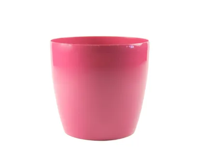 LILLEPOTIÜMBRIS BRUSSELS LÄIKIV 18CM FUKSIA