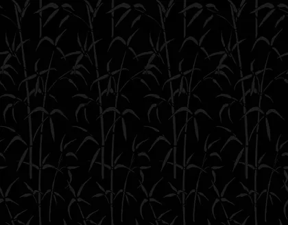 KLEEBIS D-C-FIX 0,45X2M 346-0603