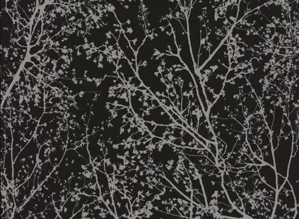 TAPEET P+S 13264-40 10,05X0,53M GRAPHICS ALIVE