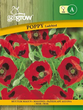 LILLESEEMNED GO GROW MUUTLIK MAGUN LADYBIRD