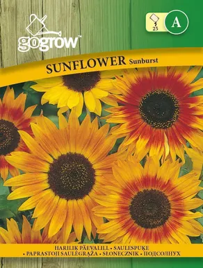 LILLESEEMNED GO GROW HARILIK PÄEVALILL AUTUMN BEAUTY
