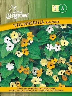 LILLESEEMNED GO GROW TIIVULINE TUNBERGIA SUSIE SEGU