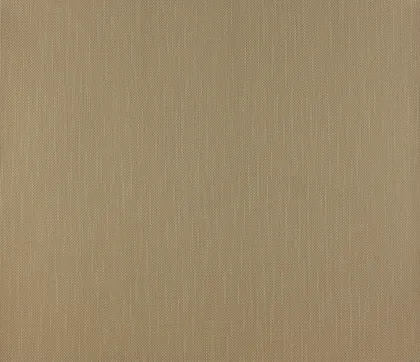 TAPEET DUTCH WALLCOVERINGS NON WOVENBEHANG MAGNOLIA UNI CAMEL 7173-0