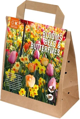 LILLESIBUL KAPITEYN BLOOMS, BEES AND BUTTERFLIES