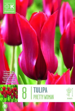 LILLESIBUL KAPITEYN LIILIAÕIELINE TULP "PIETER DE LEUR"