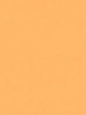 TAPEET DUTCH WALLCOVERINGS JET SETTER UNI ORANJE