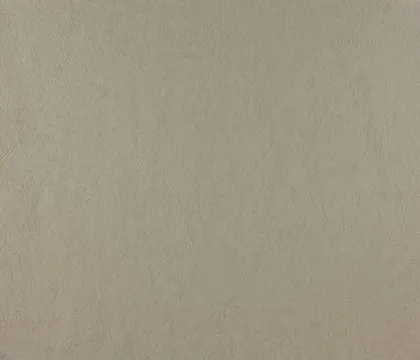 TAPEET DUTCH WALLCOVERINGS SCHUIMVINYL MEXICO BEIGE