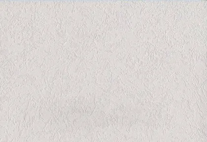 TAPEET DUTCH WALLCOVERINGS VLIES UNI WIT