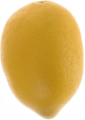 DEKORATIIVNE SIDRUN, VAHTPLAST