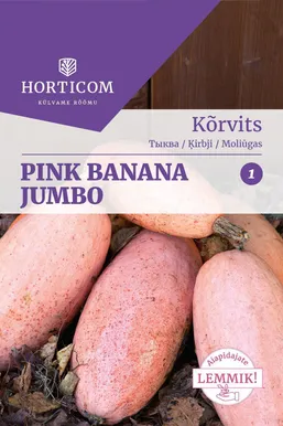 SEEMNED HORTICOM KÕRVITS PINK BANANA JUMBO 10TK