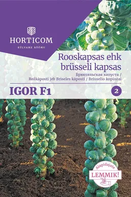 SEEMNED HORTICOM ROOSKAPSAS EHK BRÜSSELI KAPSAS IGOR F1 50TK