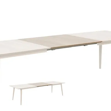 LAUA PIKENDUSED 2TK CENTURY 50X100XH2,5CM, TAMM