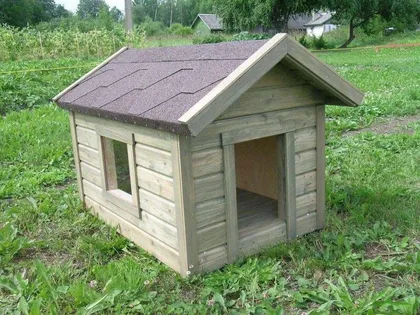 SOOJUSTAMATA KOERAKUUT JACKY NATURAALNE