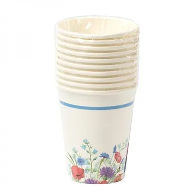 PAPPTOPSID PICNIC SUVELILLED 250ML 10TK/PK