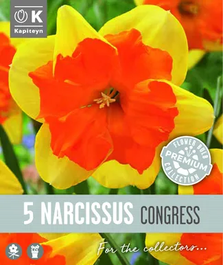 NARTSISS KAPITEYN CONGRESS 5TK