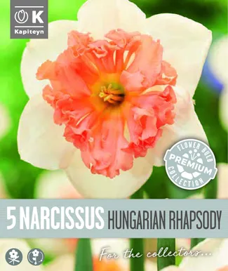 NARTSISS KAPITEYN HUNGARIAN RHAPSODY 5TK