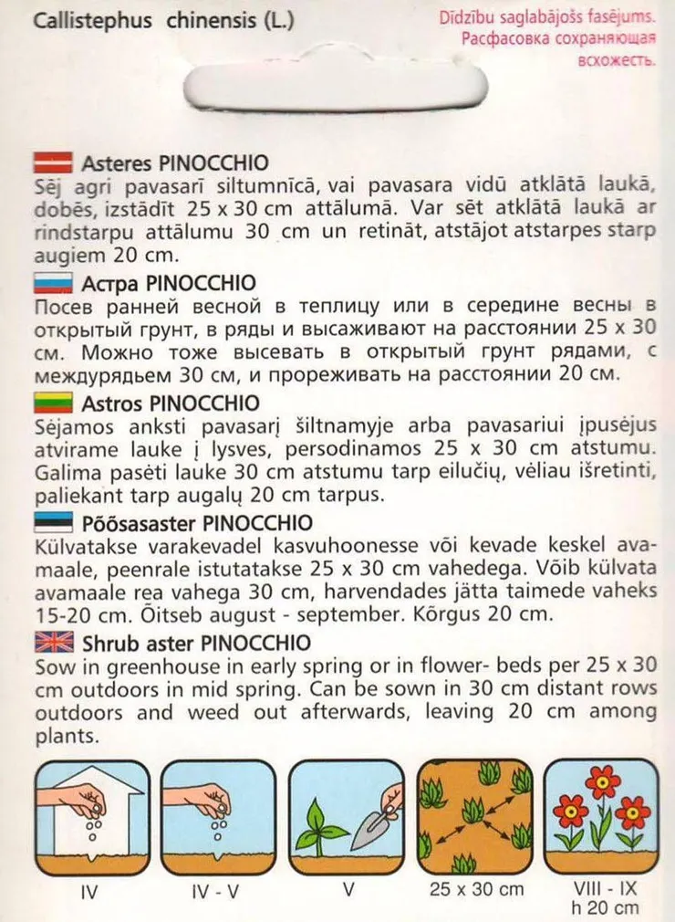 LILLESEEME PÕÕSASASTER 'PINOCHIO' SEGU