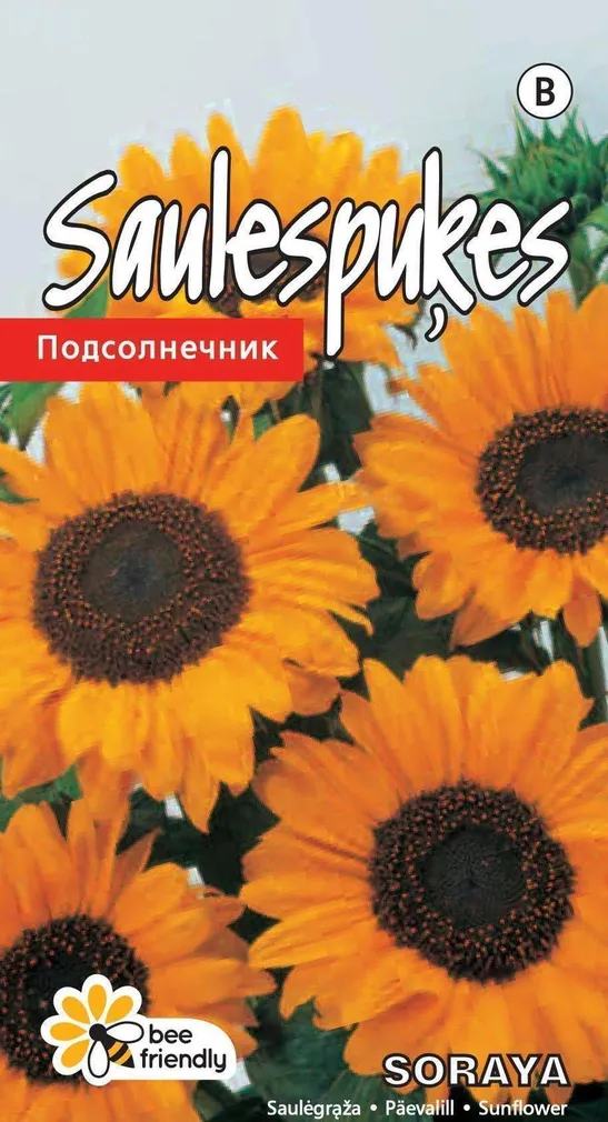 LILLESEEME PÄEVALILL 'SORAYA'150CM