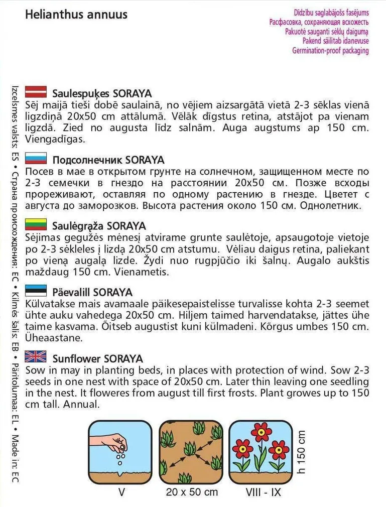 LILLESEEME PÄEVALILL 'SORAYA'150CM
