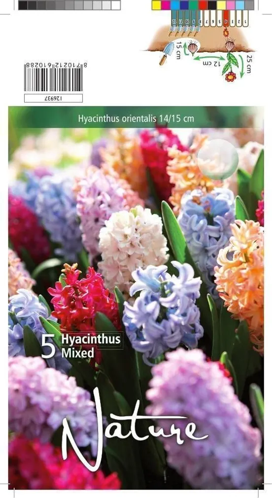 LILLESIBUL HÜATSINT SEGU 5TK PAKIS