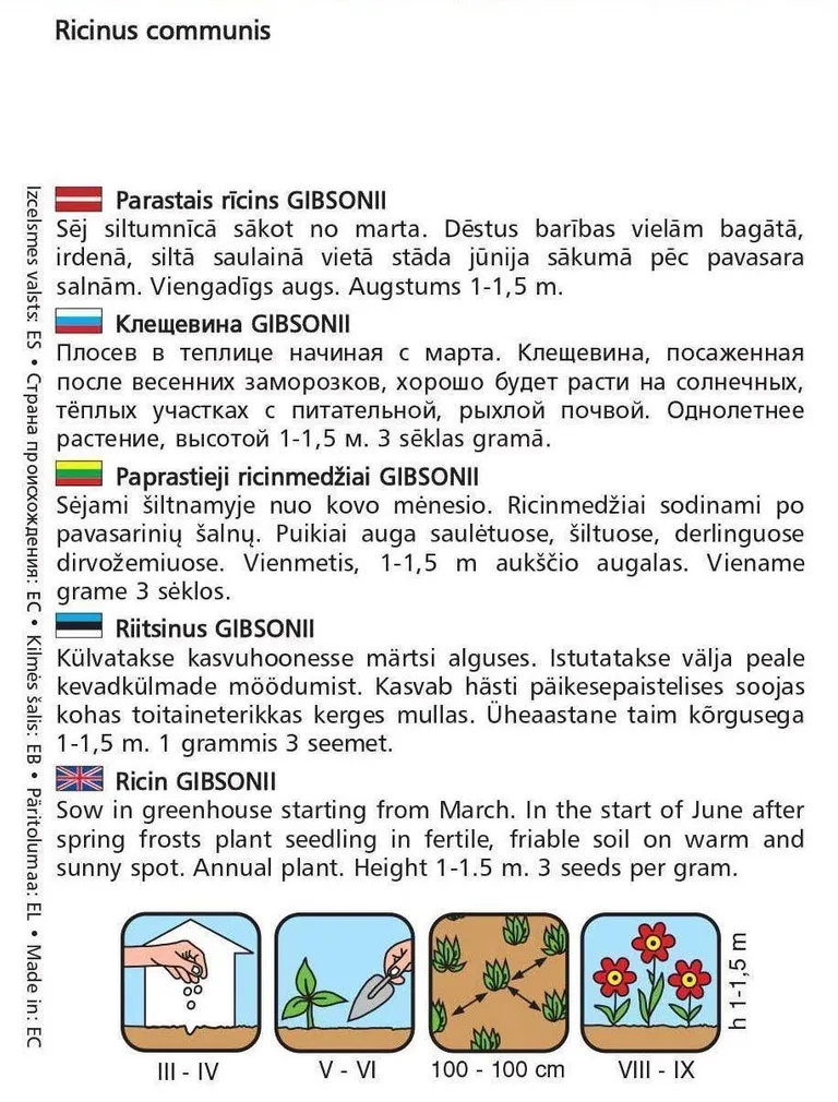 SEEMNED KURZEMES SEKLAS RIITSINUS GIBSONII 5 SEEMET