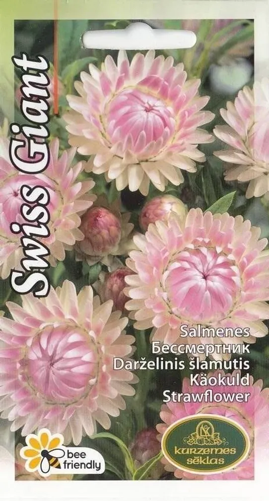 SEEMNED KURZEMES SEKLAS KÄOKULD LÕHEROOSA