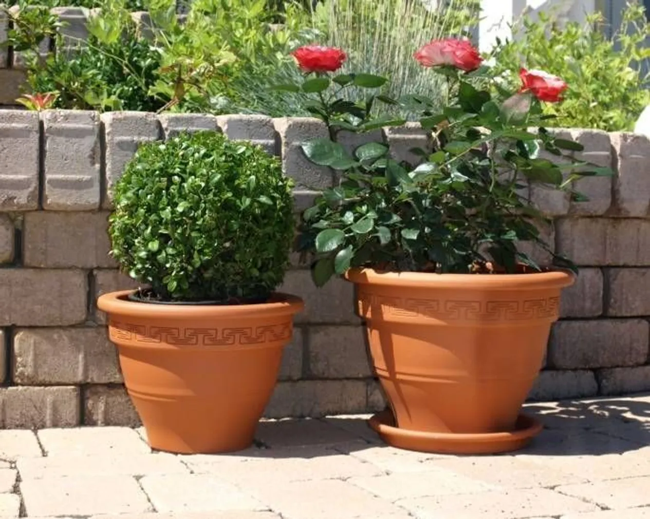 LILLEPOTT CAMPANA 11CM