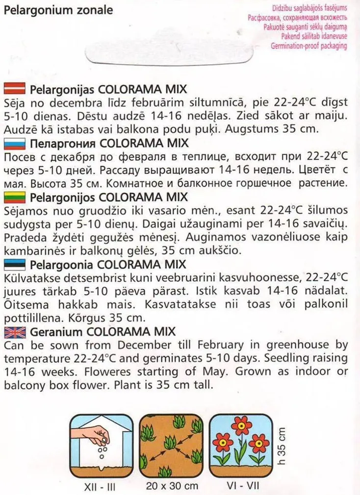 LILLESEEME PELARGOONIA SEGU 0,2 G