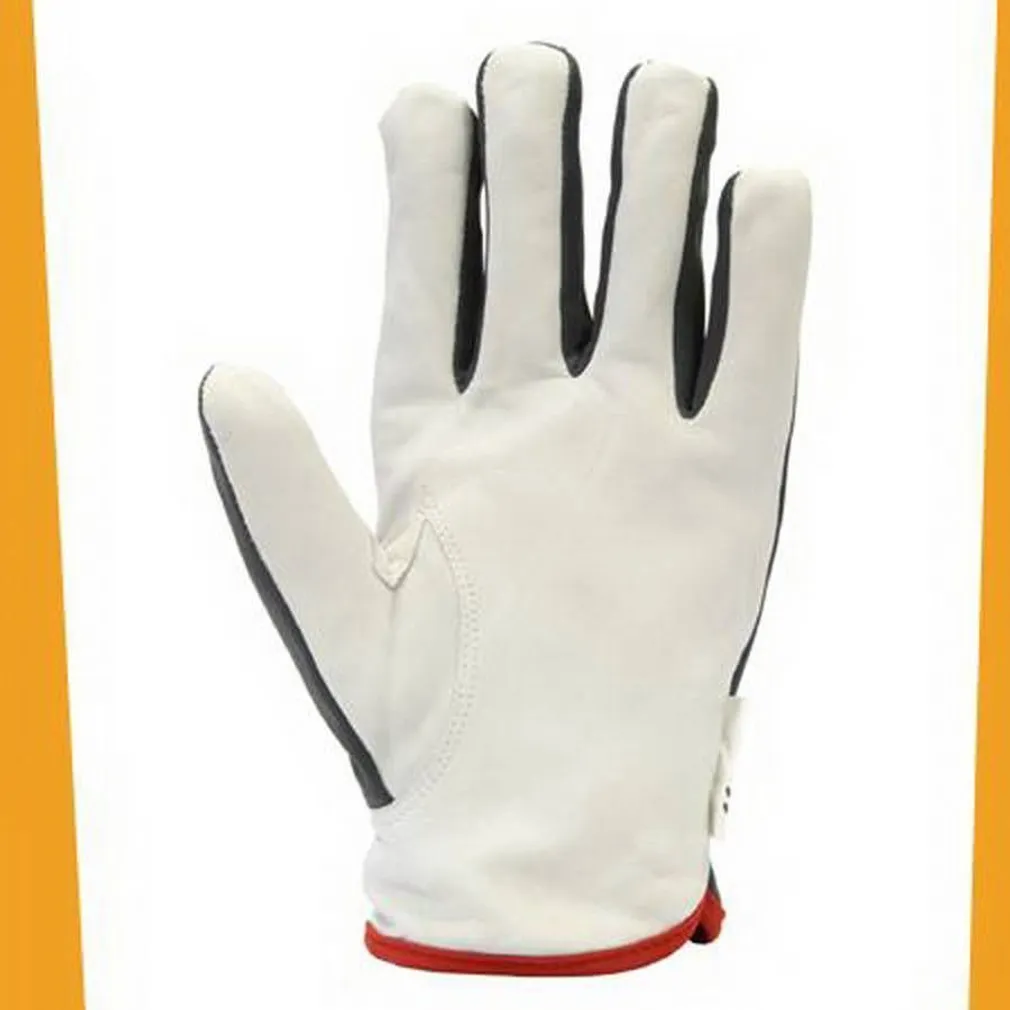 WORTEX KITSENAHAST KINDAD 251 VOODRIGA VALGE/HALL M/8