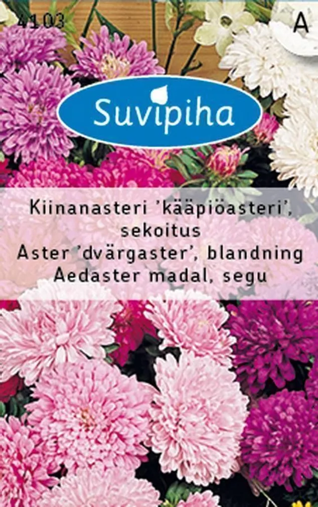 LILLESEEMNED AEDASTER MADAL SEGU