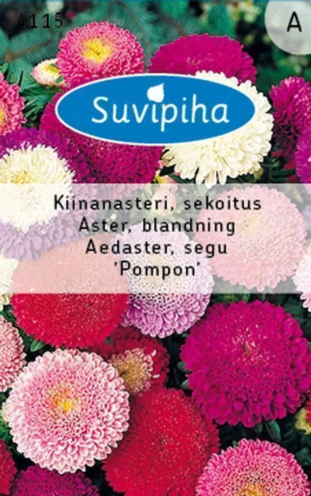 LILLESEEMNED SUVIPIHA AEDASTER POMPON SEGU 