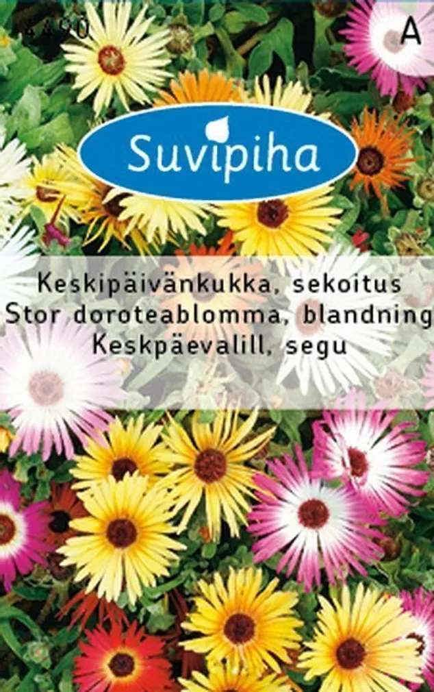LILLESEEMNED SUVIPIHA KESKPÄEVALILL SEGU 