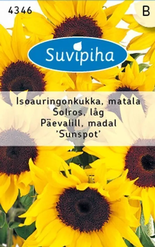 LILLESEEMNED SUVIPIHA PÄEVALILL SUNSPOT MADAL 