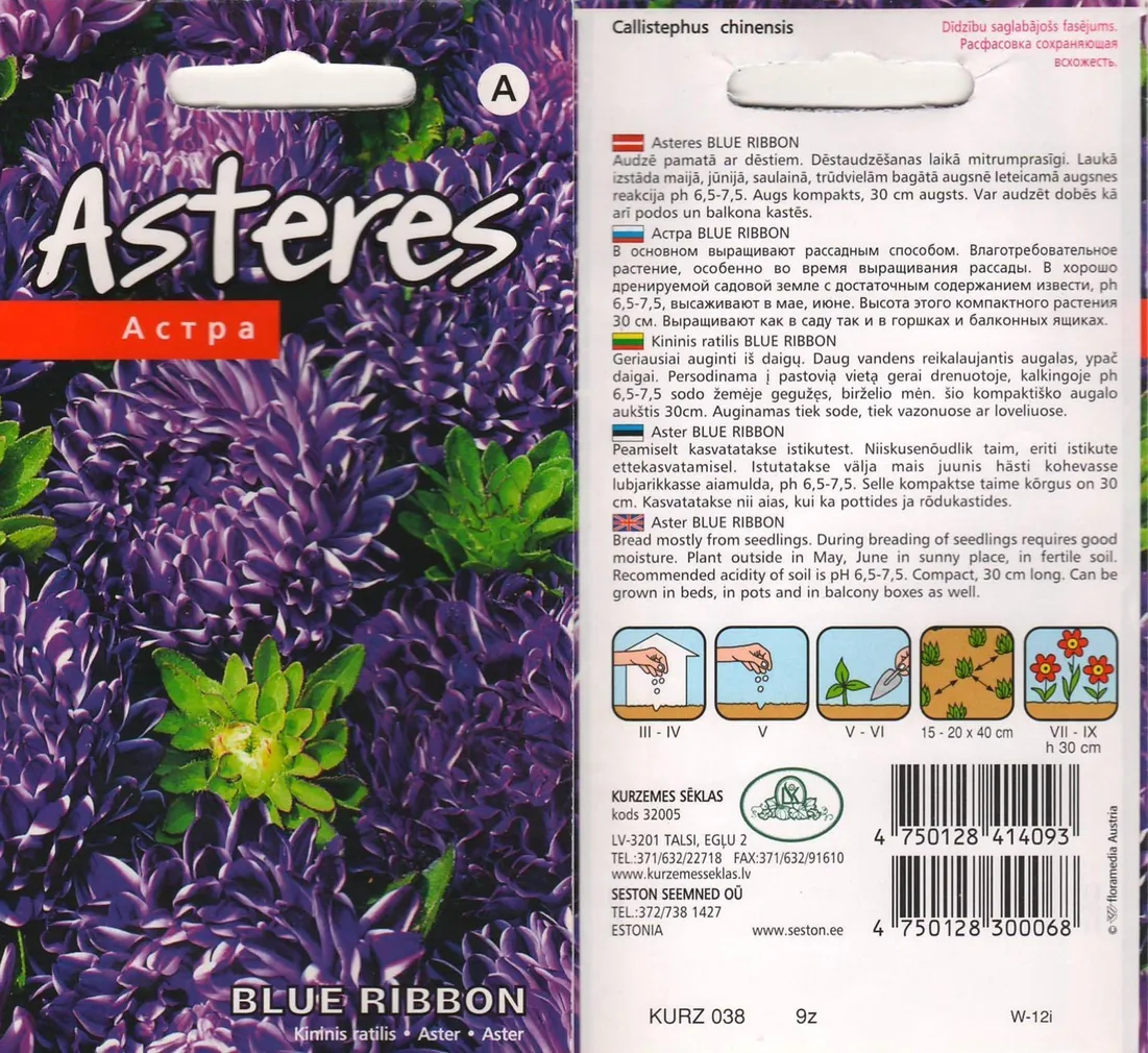 SEEMNED KURZEMES SEKLAS ASTER "BLUE RIBBON"