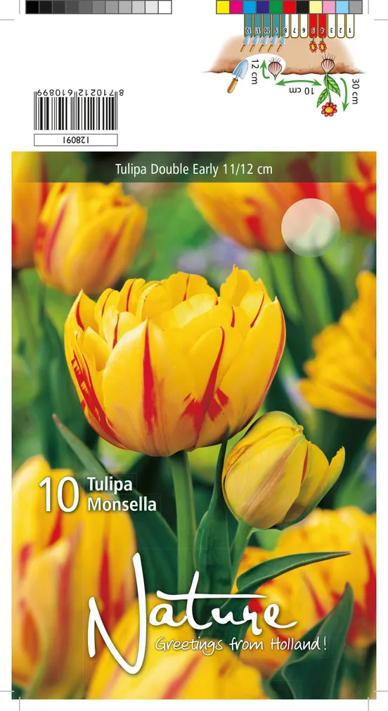 LILLESIBUL TULP DOUBLE EARLY MONSELLA 10TK PAKIS
