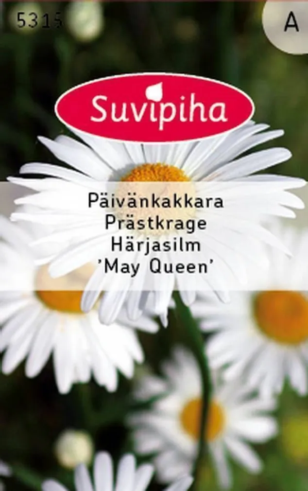 LILLESEEMNED SUVIPIHA HÄRJASILM MAY QUEEN 