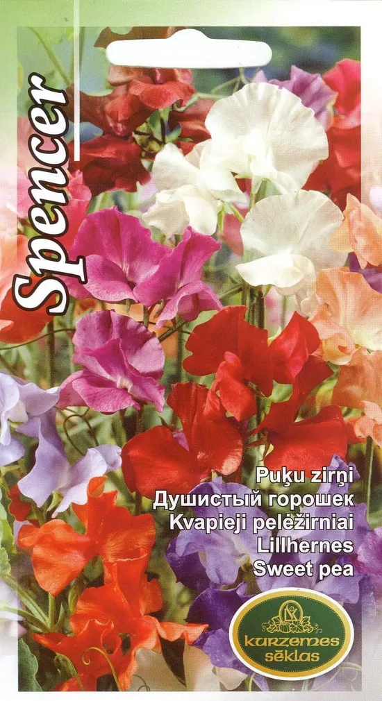 SEEMNED KURZEMES SEKLAS LILLHERNES 2 G